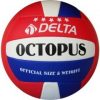 mb2 delta-octopus-el-dikisli-voleybol-topu-kirmizi-mavi_min5990