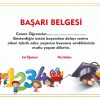 başarı belgesi burda