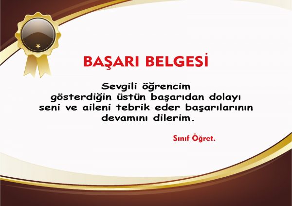 okul başarı belgesi